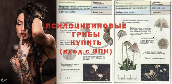 гидропоника Балабаново